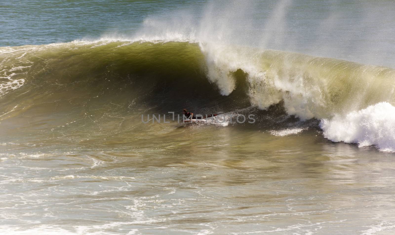 Surfer races the Quiksilver & Roxy Pro World Title Event.  2012 by Imagecom