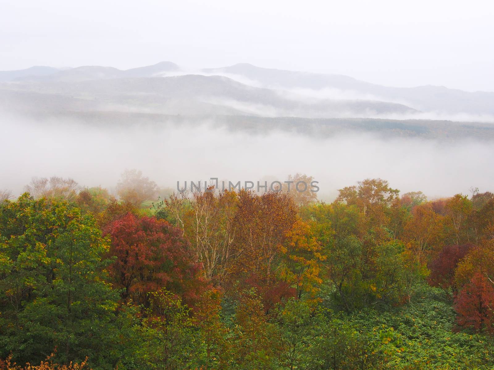Autumn scene with mountains in fog on background