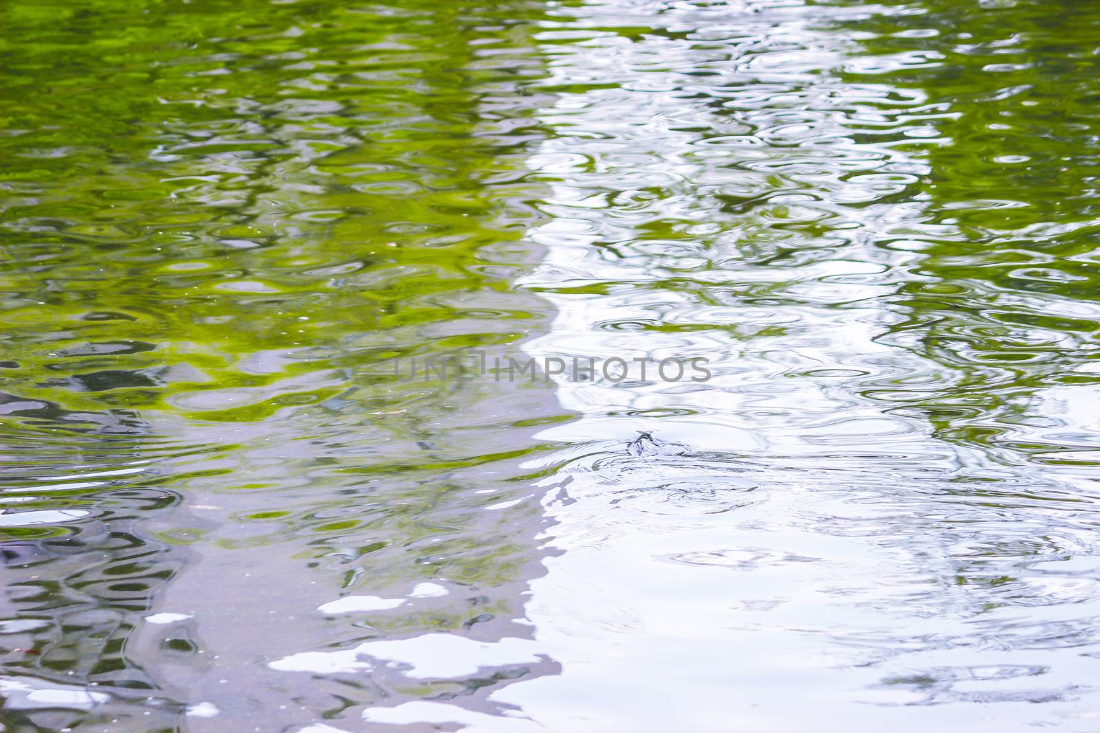 ripple surface of the water background