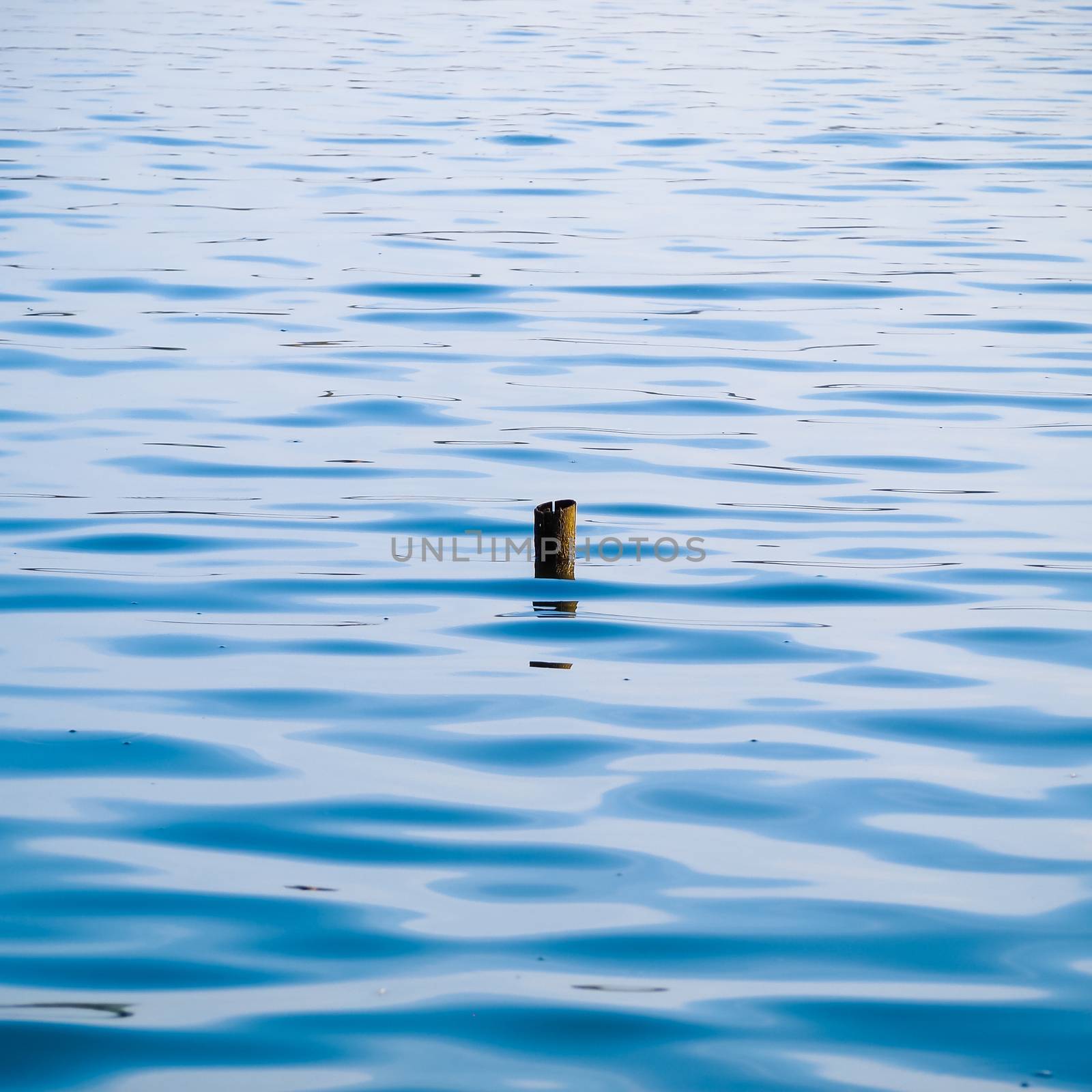 ripple surface of the water with snag