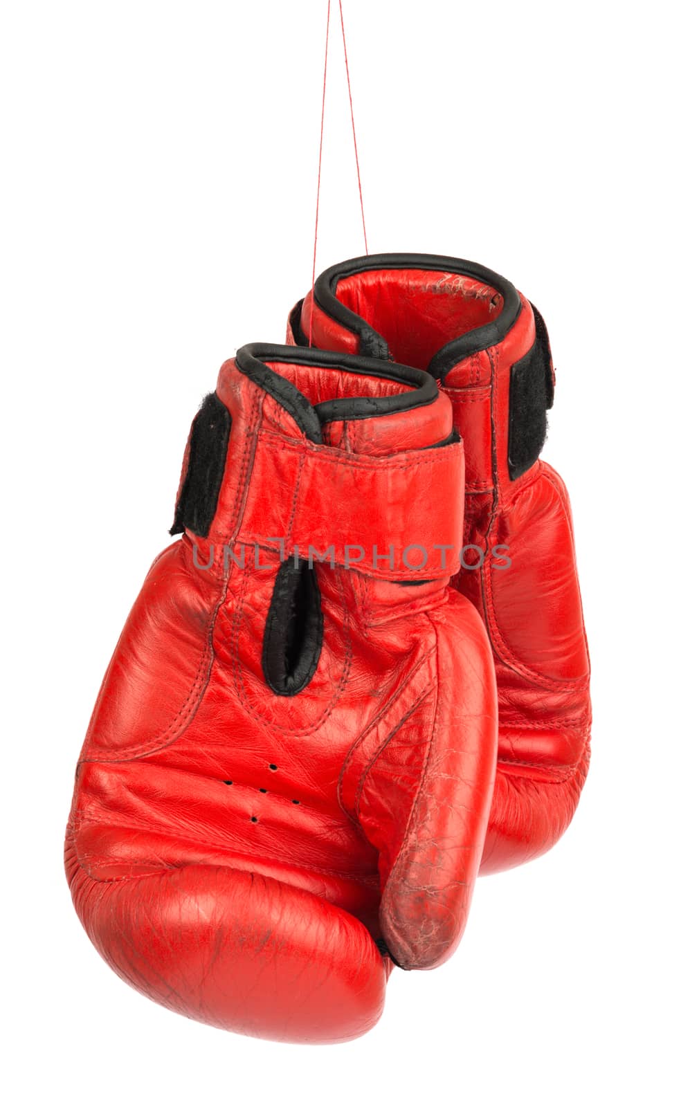 Red boxing gloves on white by cherezoff