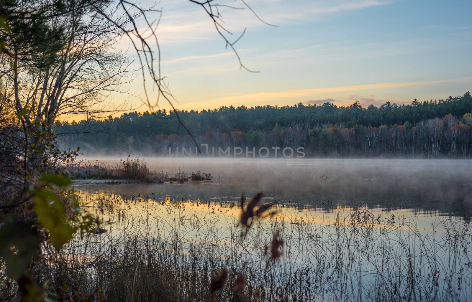 The morning sun rises, revealing fog and a chair sits on a partially submerged dock beside a lake in Ontario, Canada.