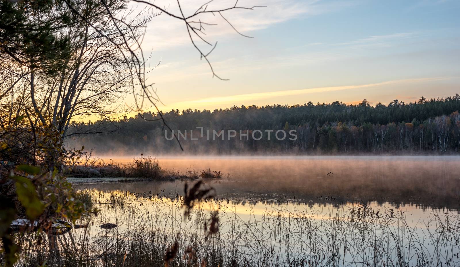 The morning sun rises, revealing fog and a chair sits on a partially submerged dock beside a lake in Ontario, Canada.