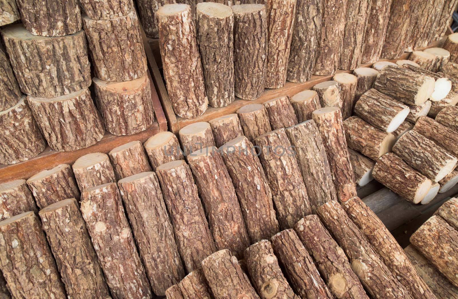 Wood for thanaka produktion at a market in Labutta Township in the Ayeyarwady Division of Myanmar. The bark of the tree is ground to make the yellow powder that is used as make-up by the burmese, mainly women.