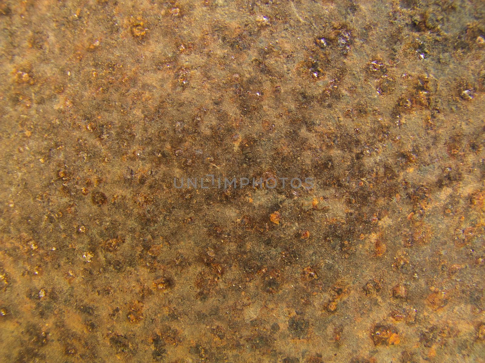 Closeup Rust texture, metal plate background