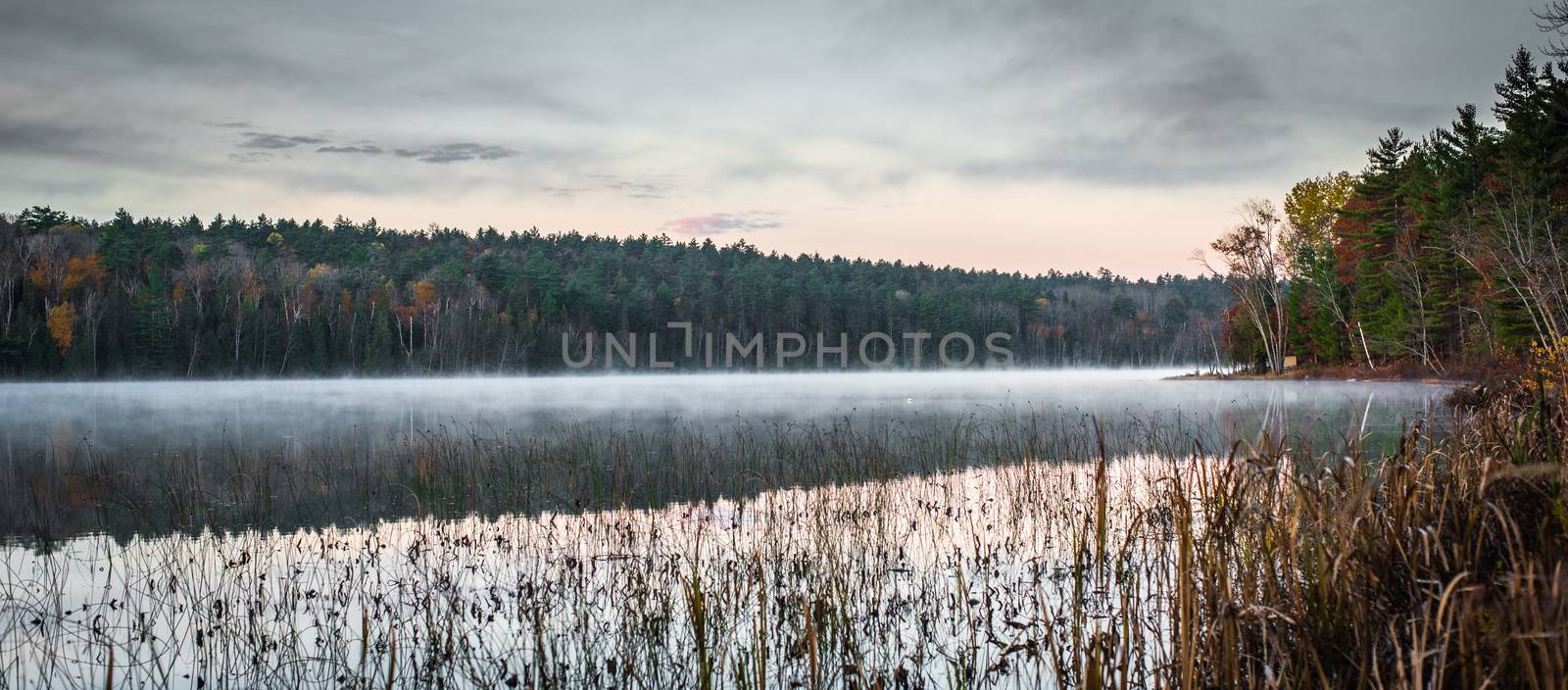 Morning sun rise revealing light fog.  Marsh beside a lake in Ontario, Canada.