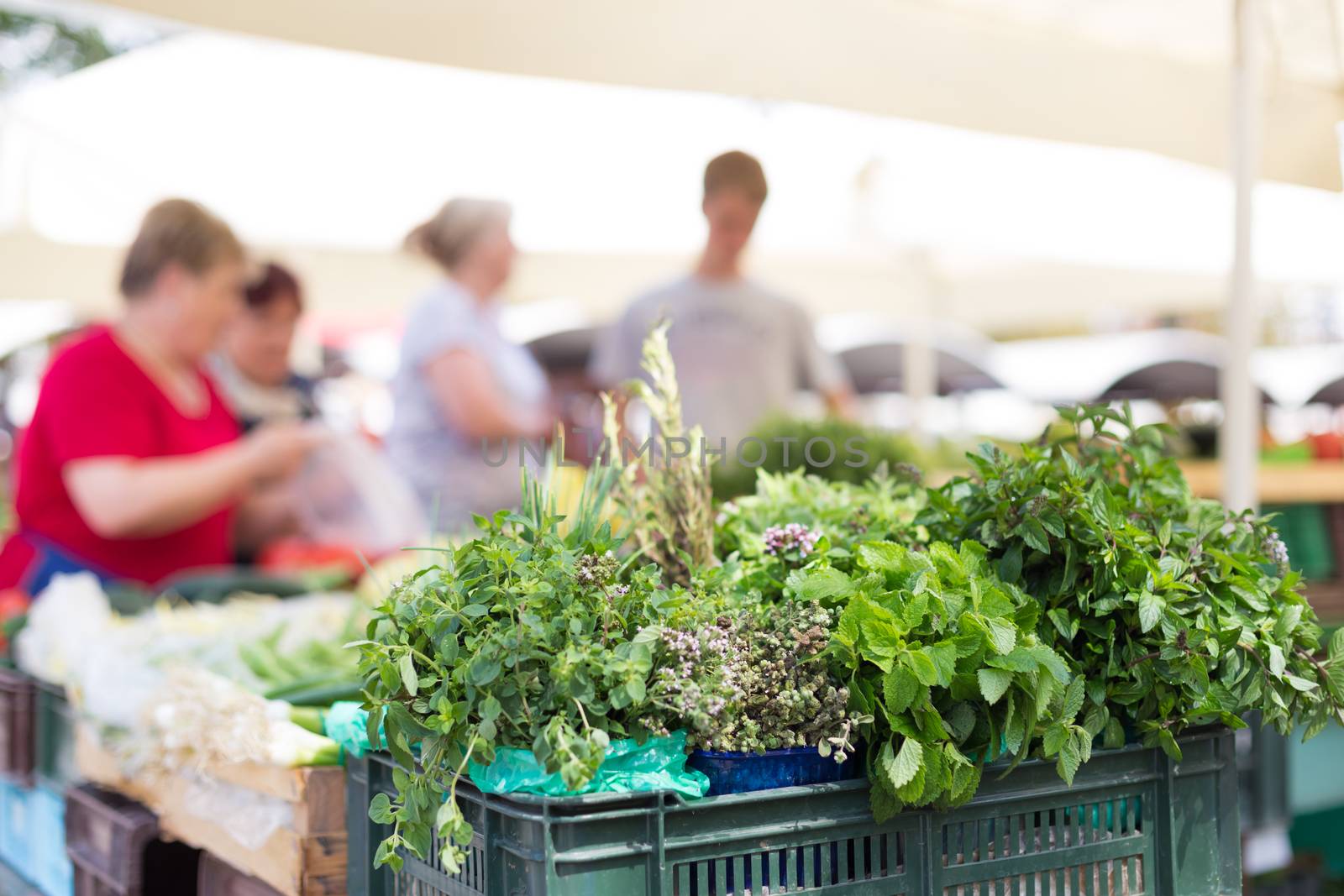 Farmers' food market stall with variety of organic vegetable. Vendor serving and chating with customers.