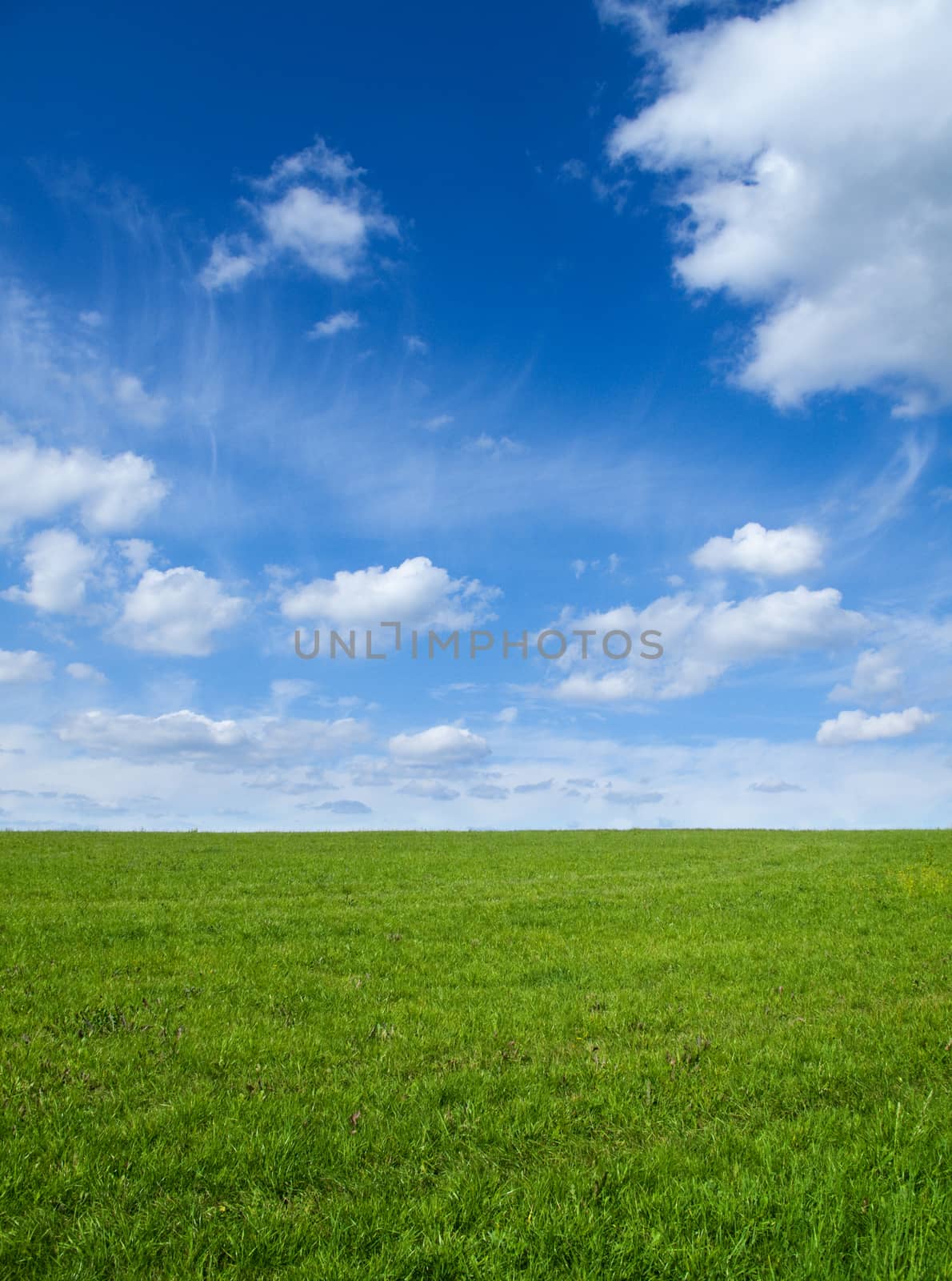 Landscape - Green field and blue sky 