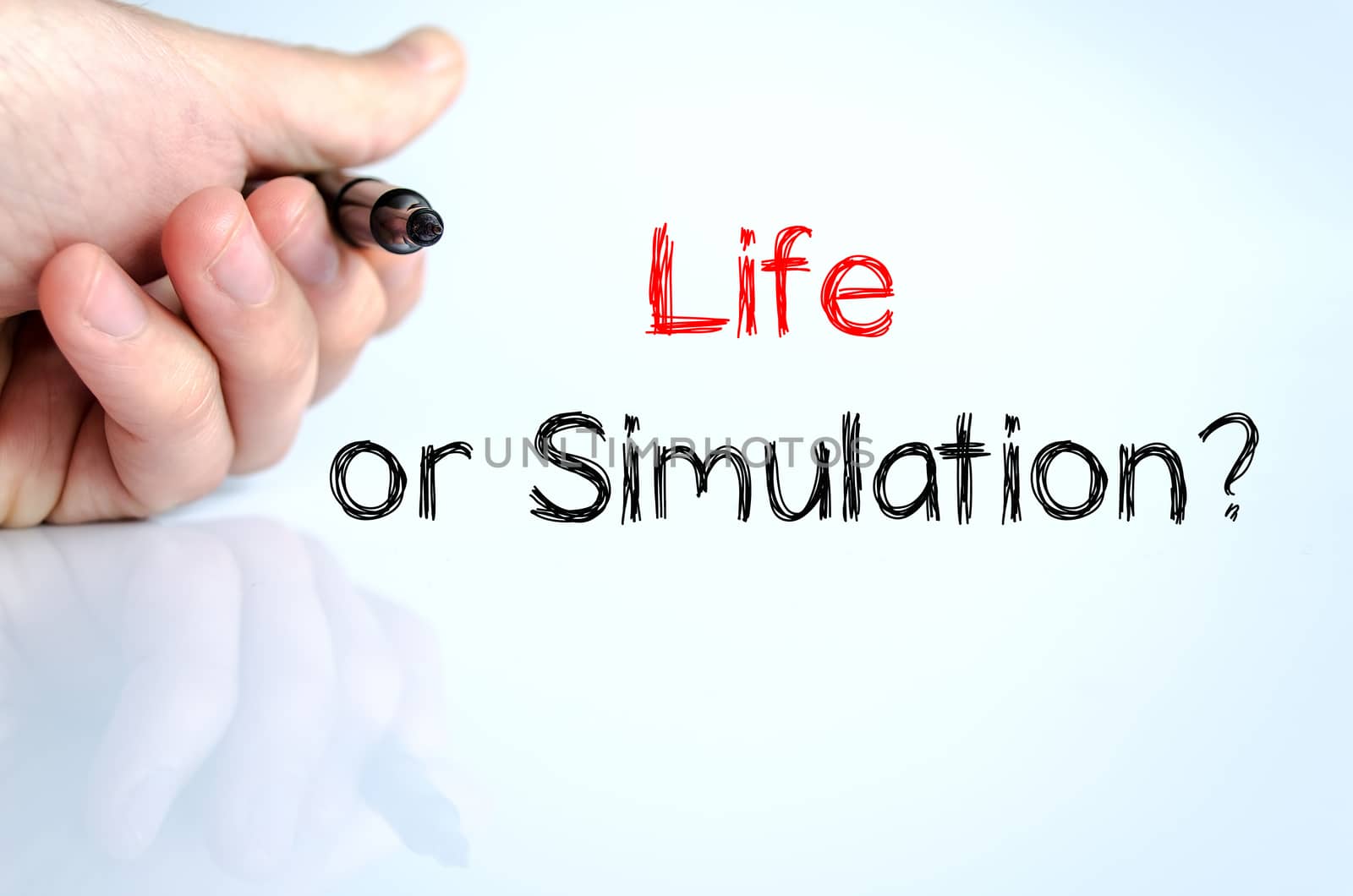 Life or simulation text concept isolated over white background