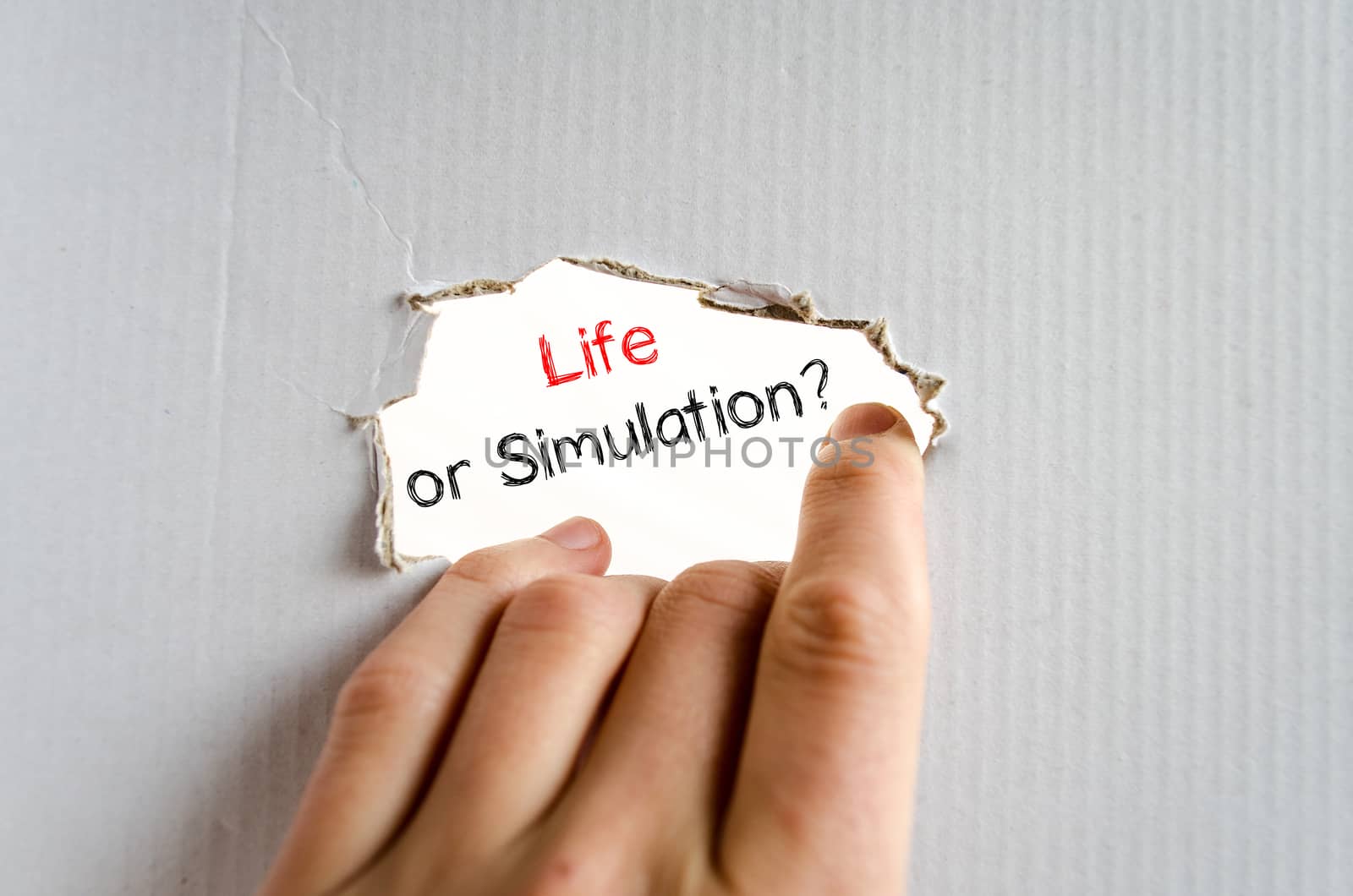 Life or simulation text concept isolated over white background