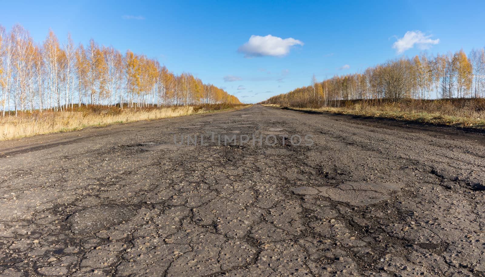 field, tree planting and road. by AlexBush