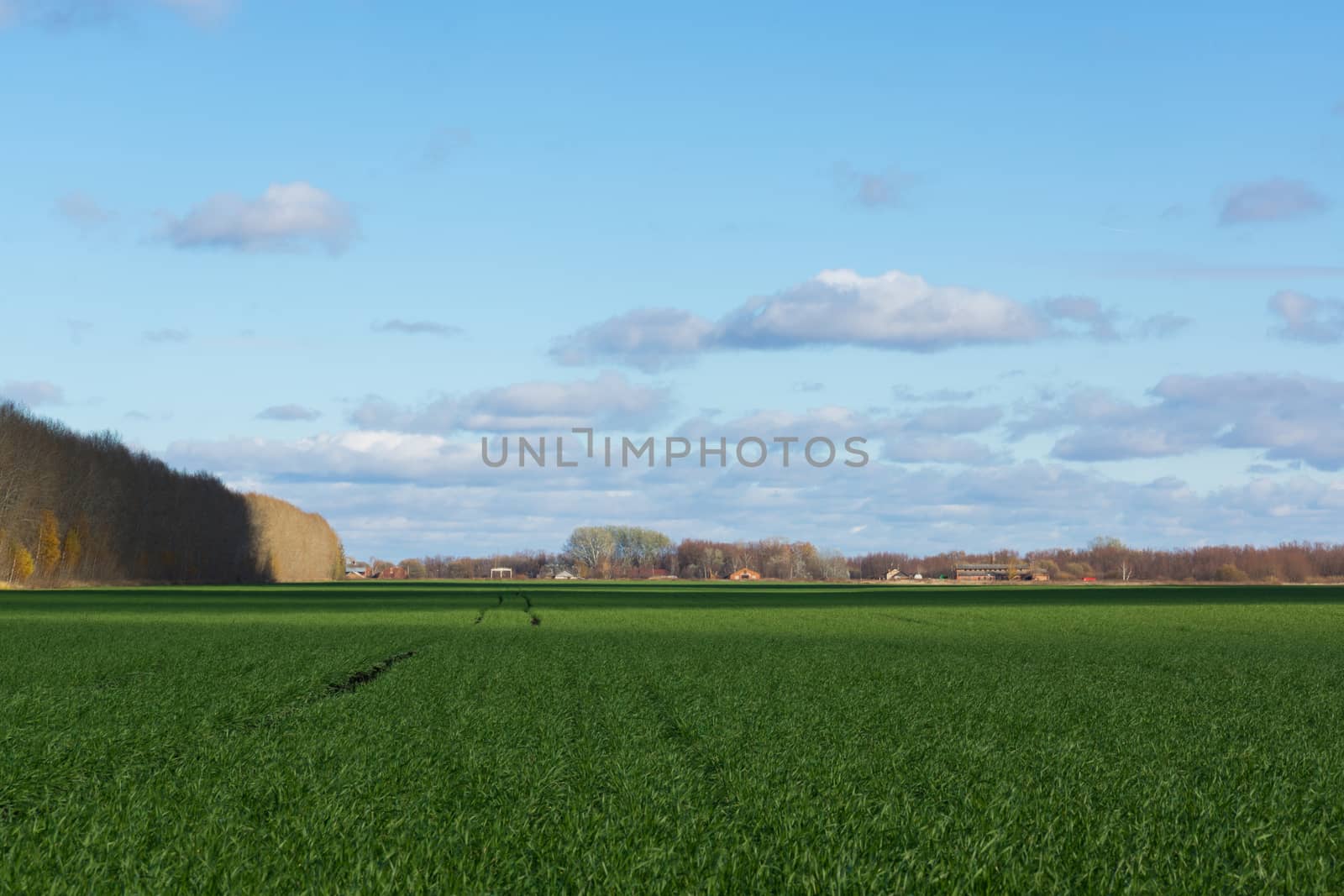 field, tree planting and road. by AlexBush