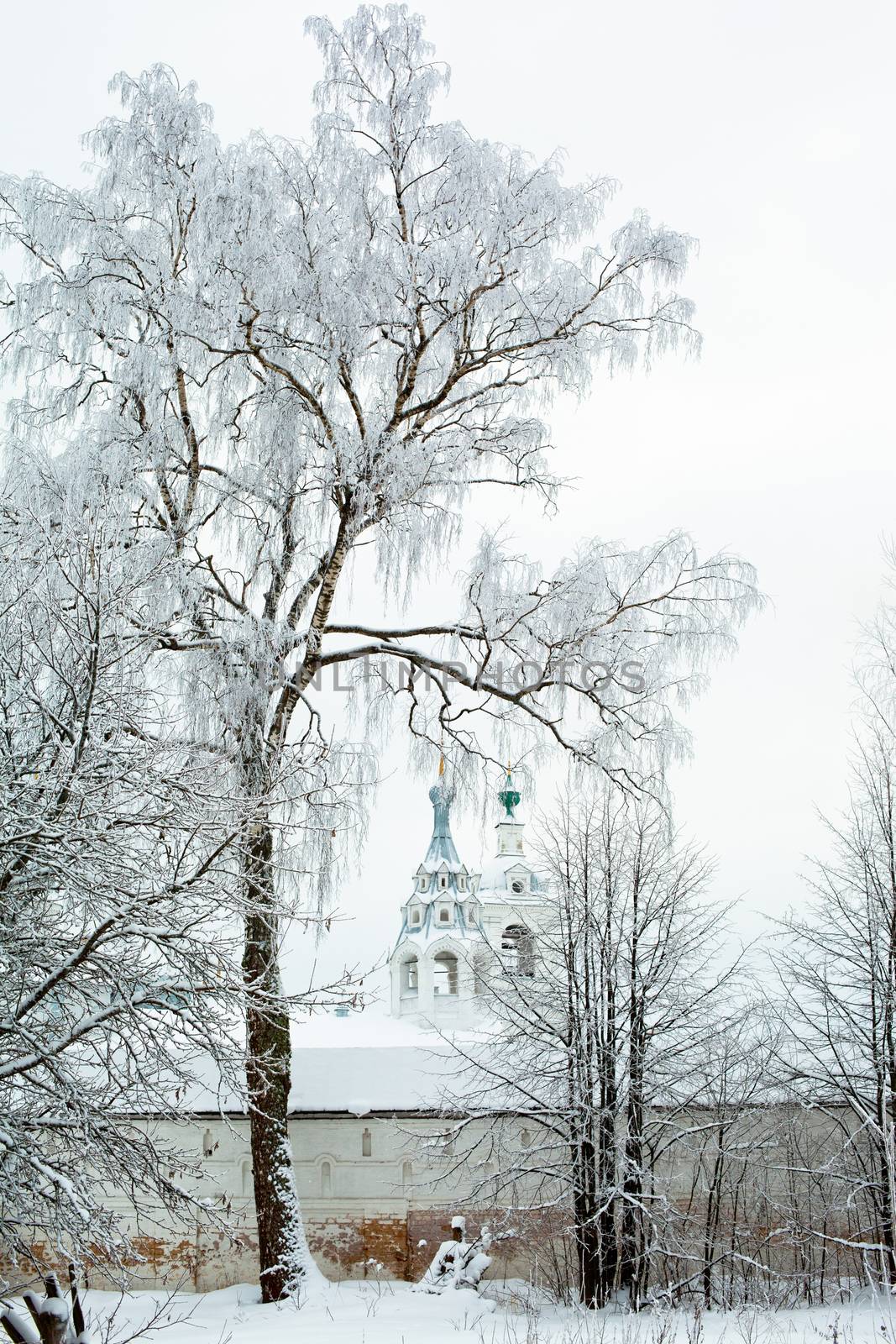 Winter tree by foaloce