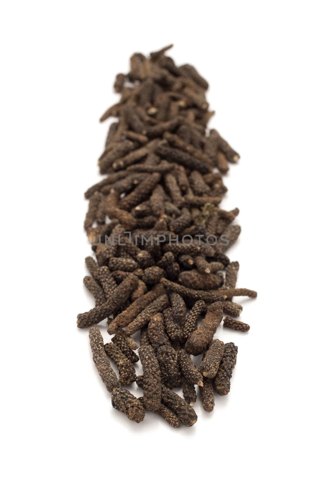 Row of Organic Long pepper Dried Fruit (Piper longum) isolated on white background.