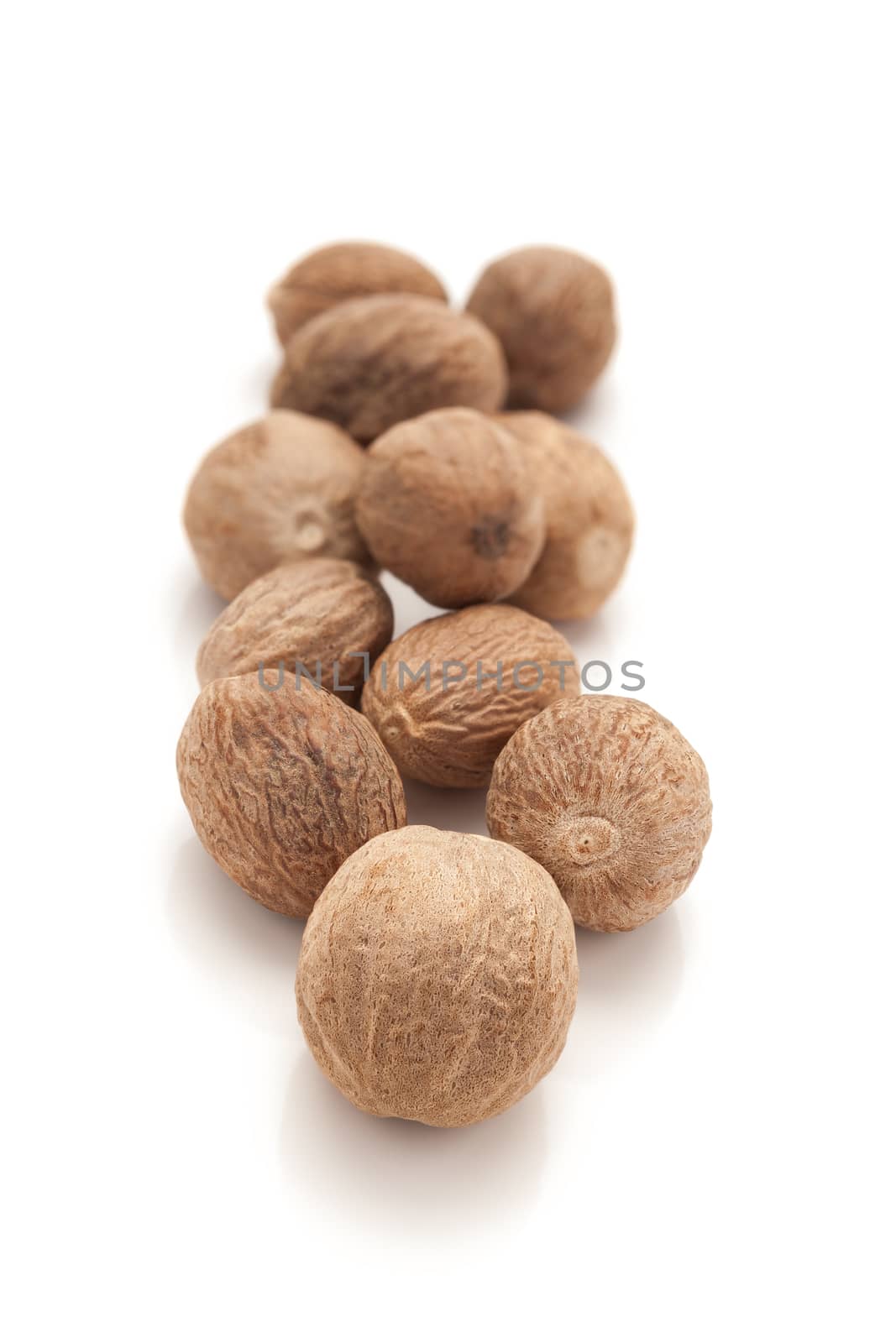 Row of Organic Nutmeg Seed or Jaiphal (Myristica fragrans) isolated on white background.