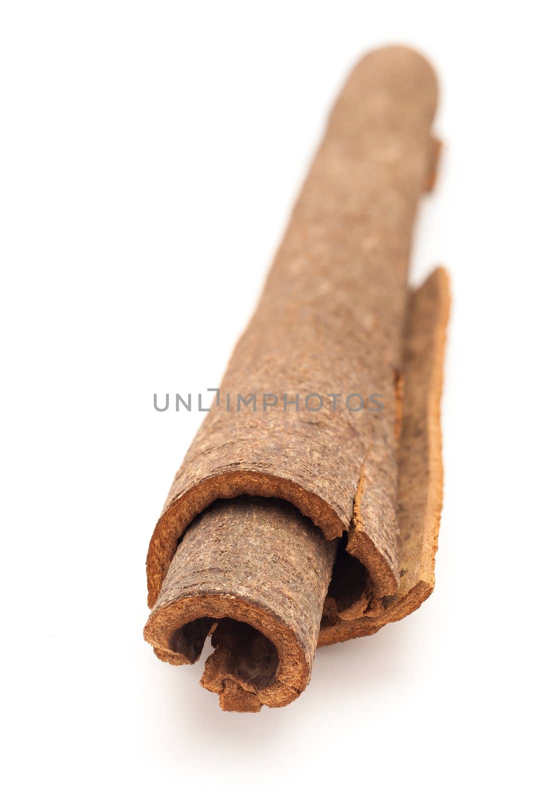 Close up of Cinnamon stick (Cinnamomum verum) isolated on white background.