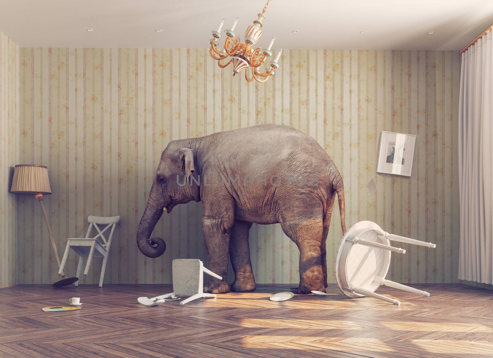 a elephant calm in a room. photo combinated concept