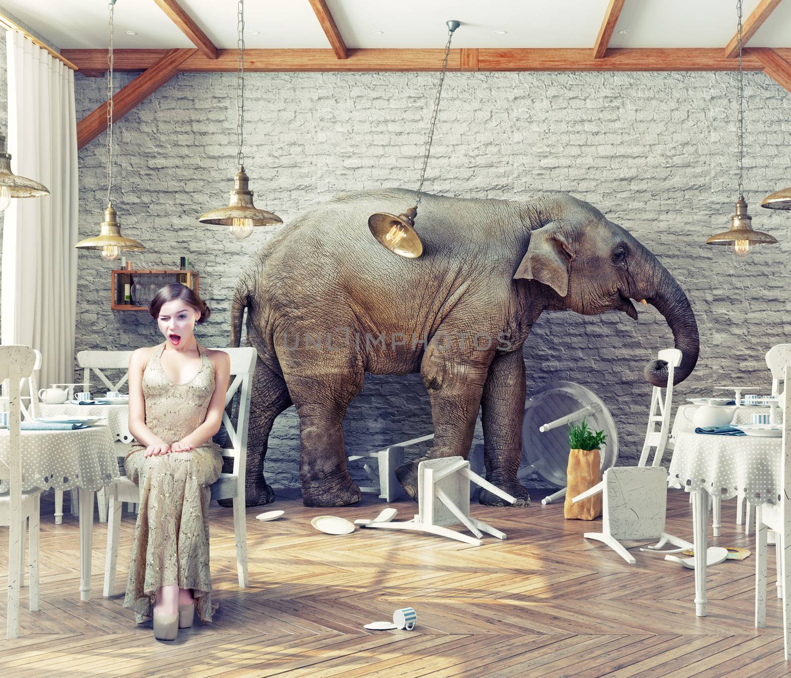  elephant calm in a restaurant by vicnt