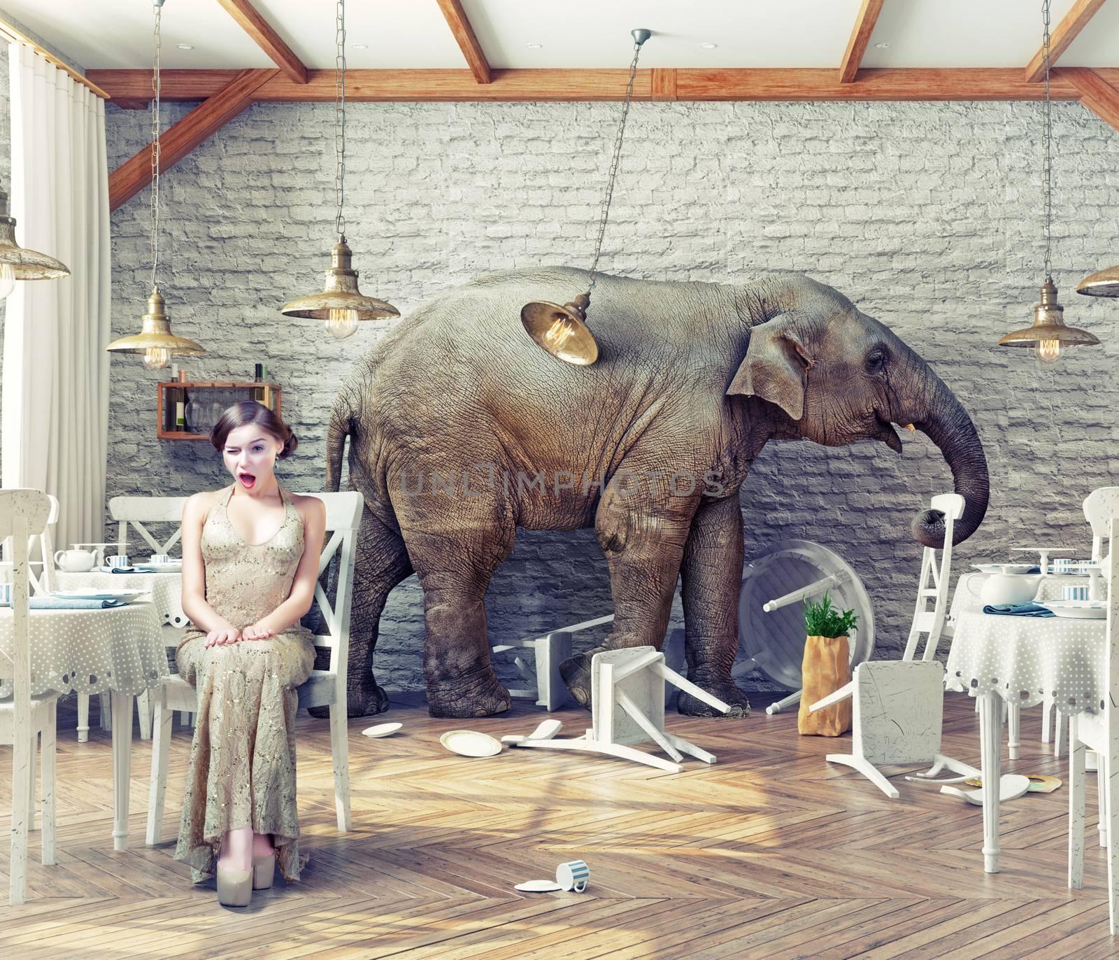 the elephant calm in a restaurant interior. photo combination concept