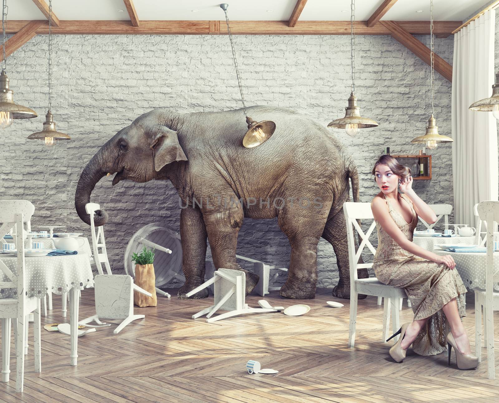  elephant  in  restaurant by vicnt