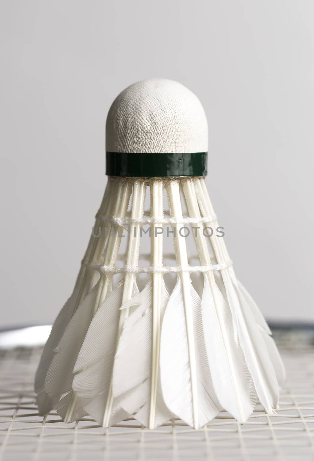 Shuttlecock on Badminton Racket close up with grey background.