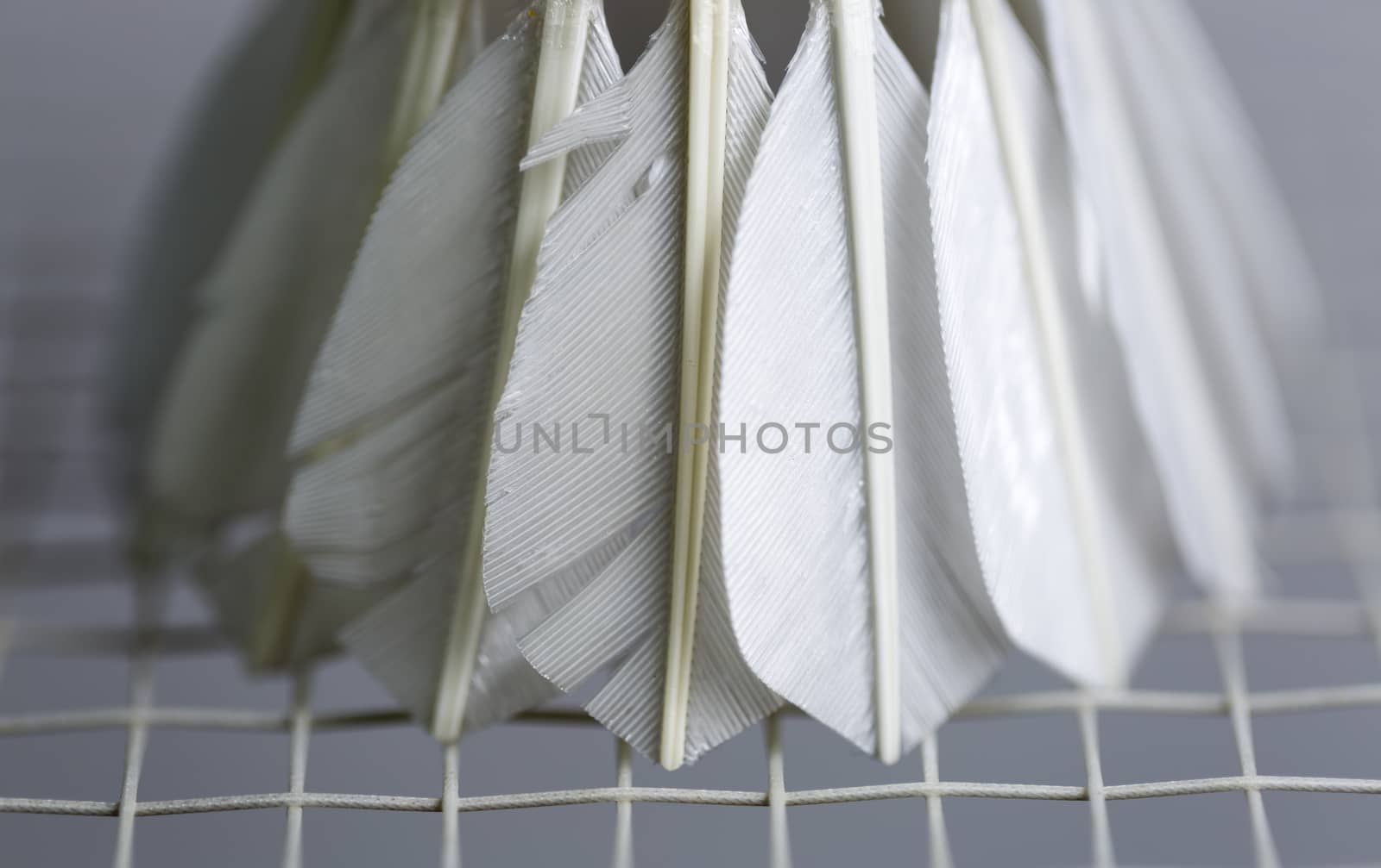 Shuttlecock on Badminton Racket close up.