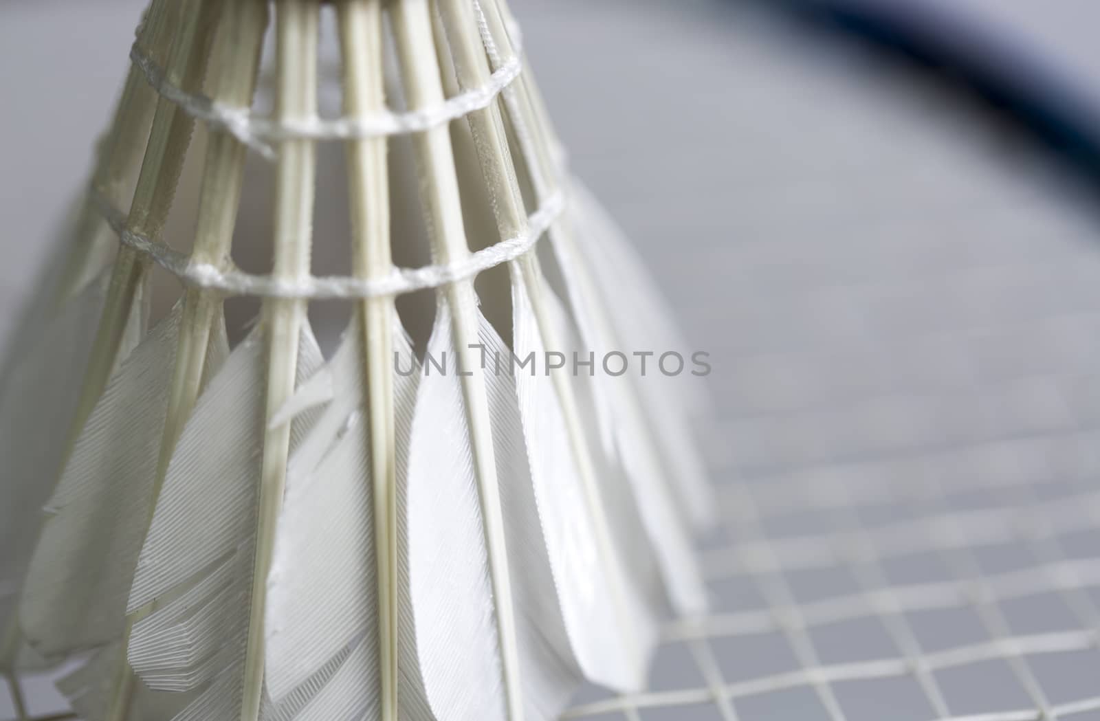 Shuttlecock on Badminton Racket close up.