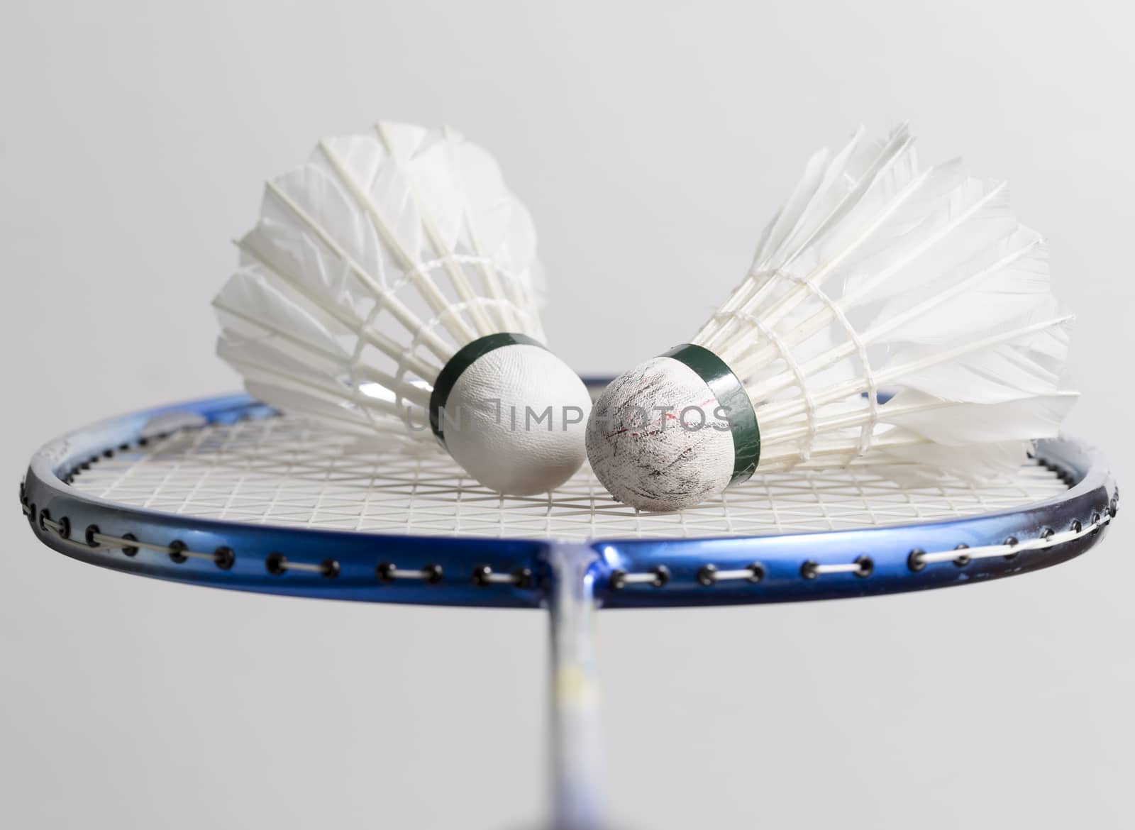 Pair of Shuttlecocks on Badminton Racket