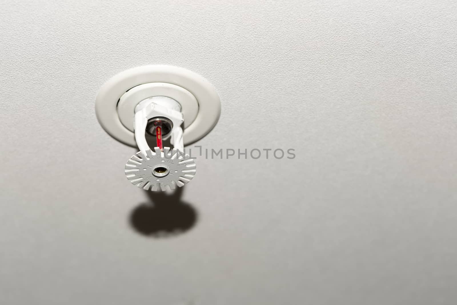 Fire Sprinkler Close Up in ceiling.