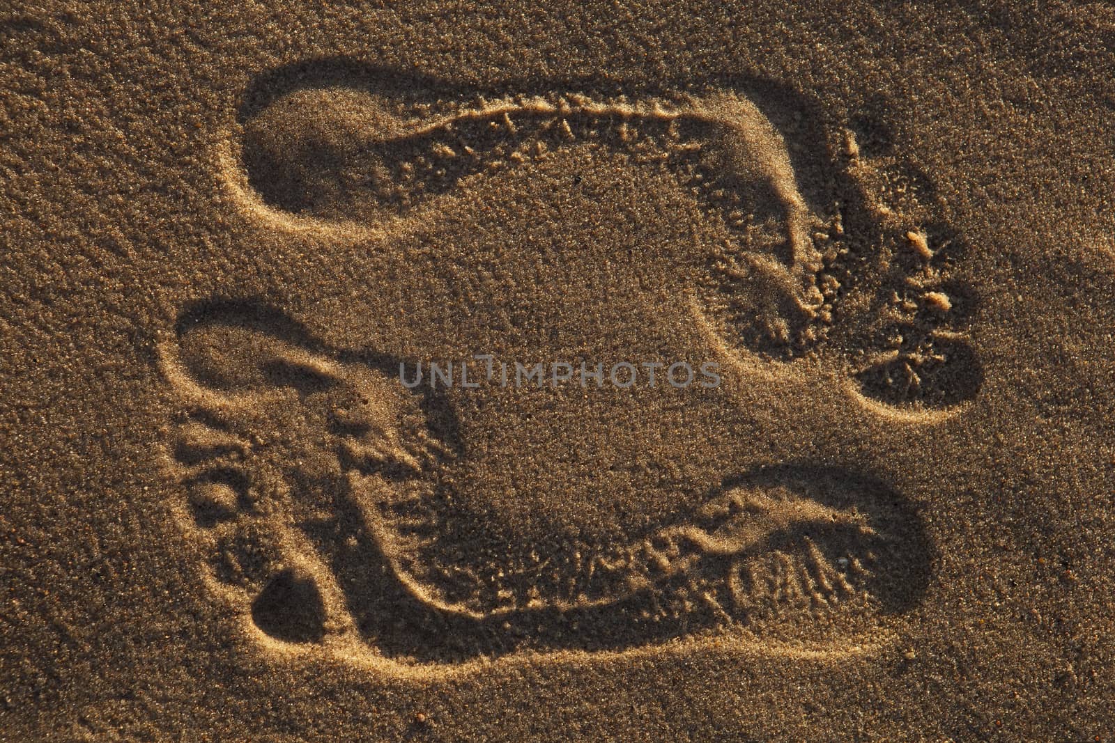 The traces left by man on the sandy beach.