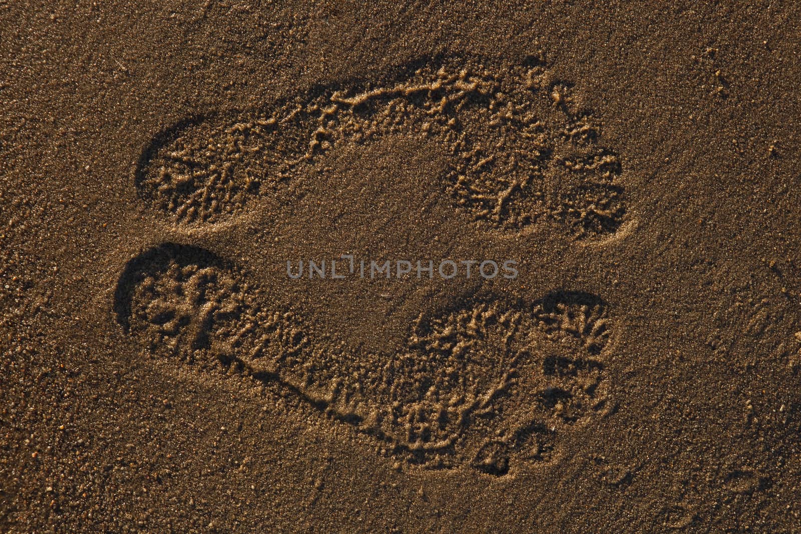 The traces left by man on the sandy beach.