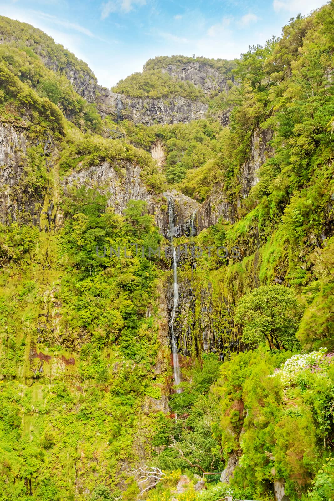 View of waterfall and greenish forest landscape on Madeira, the hiking and flower island