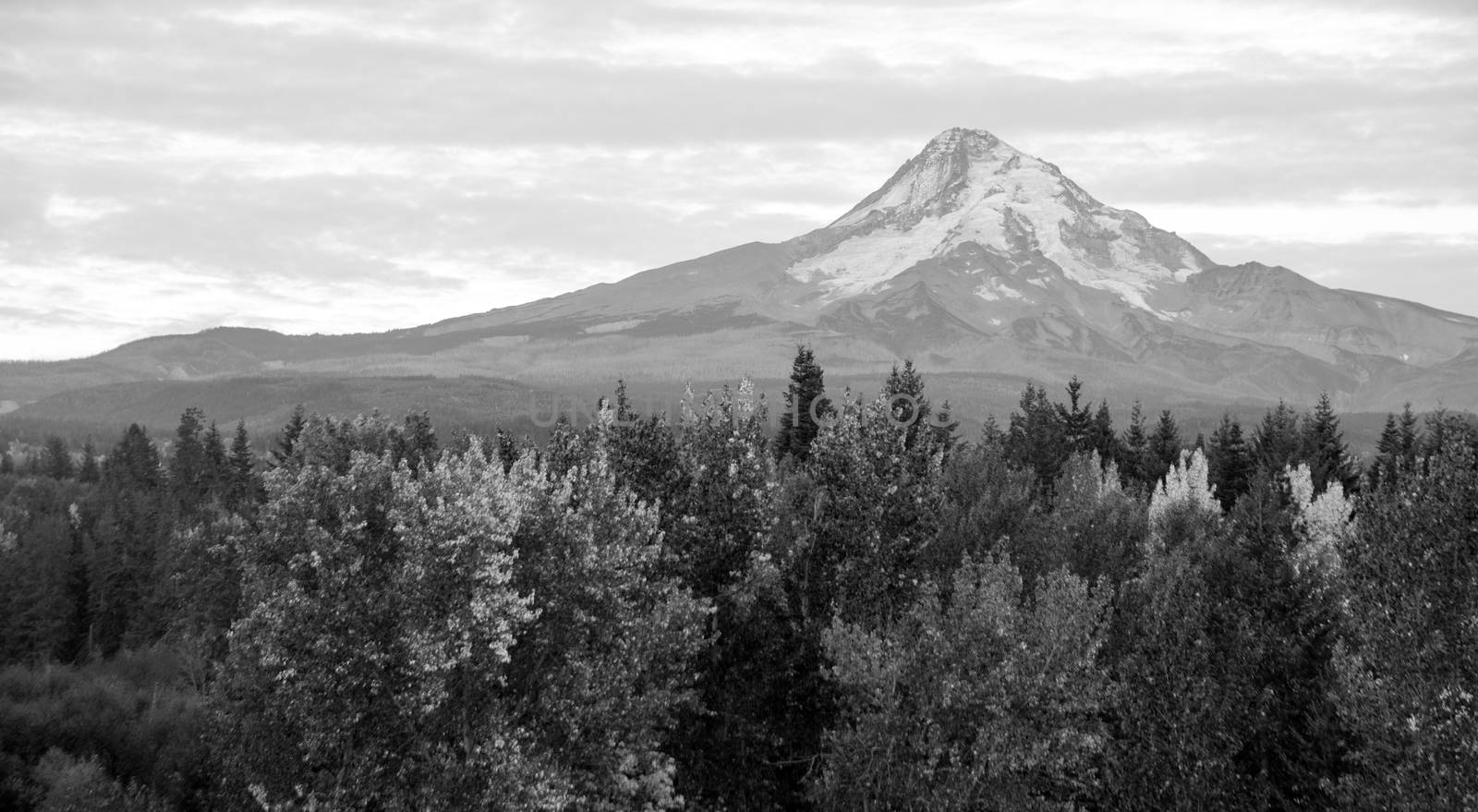 Mt. Hood Volcanic Mountain Cascade Range Oregon Territory by ChrisBoswell
