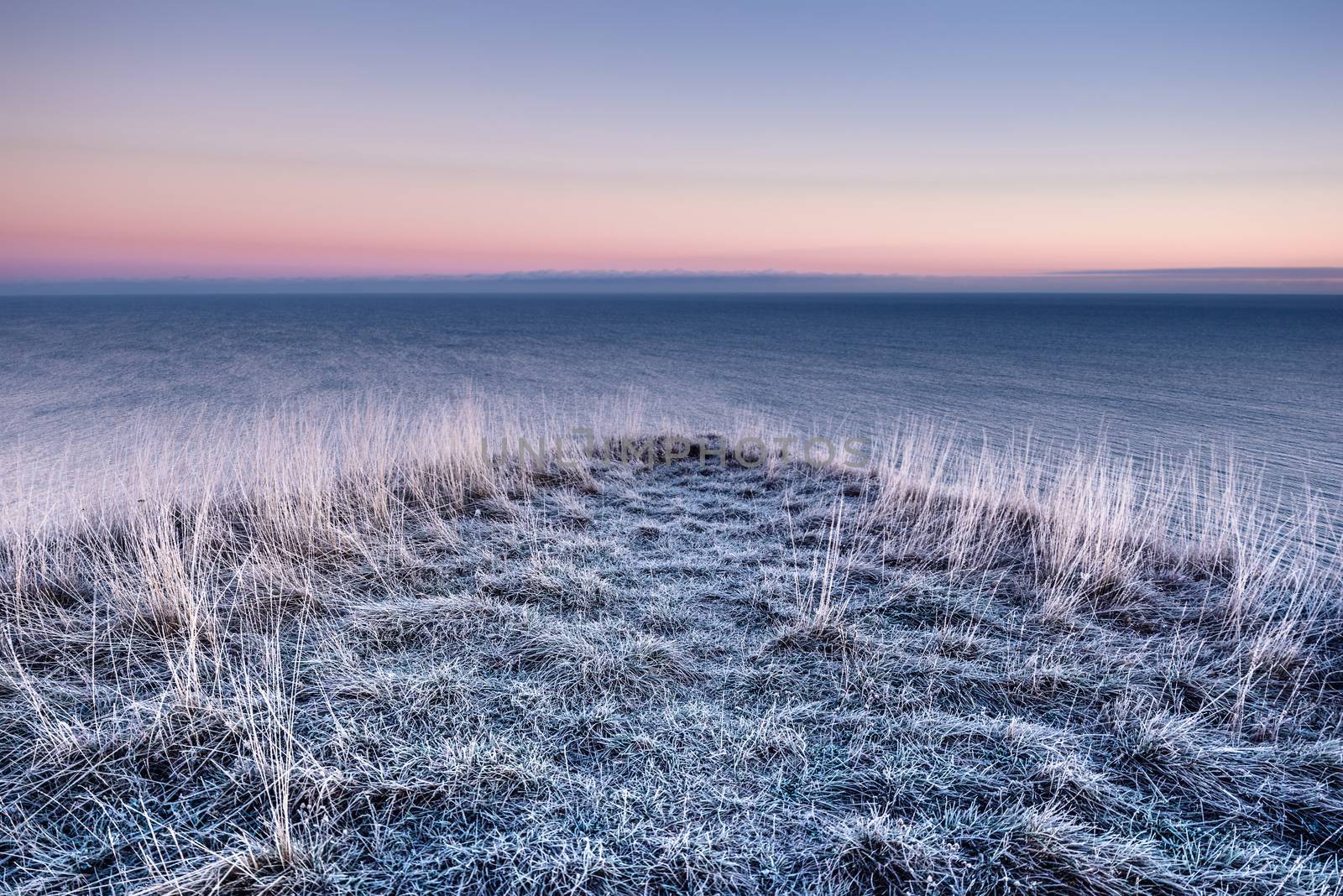 Winter sea and frozen grass by styf22