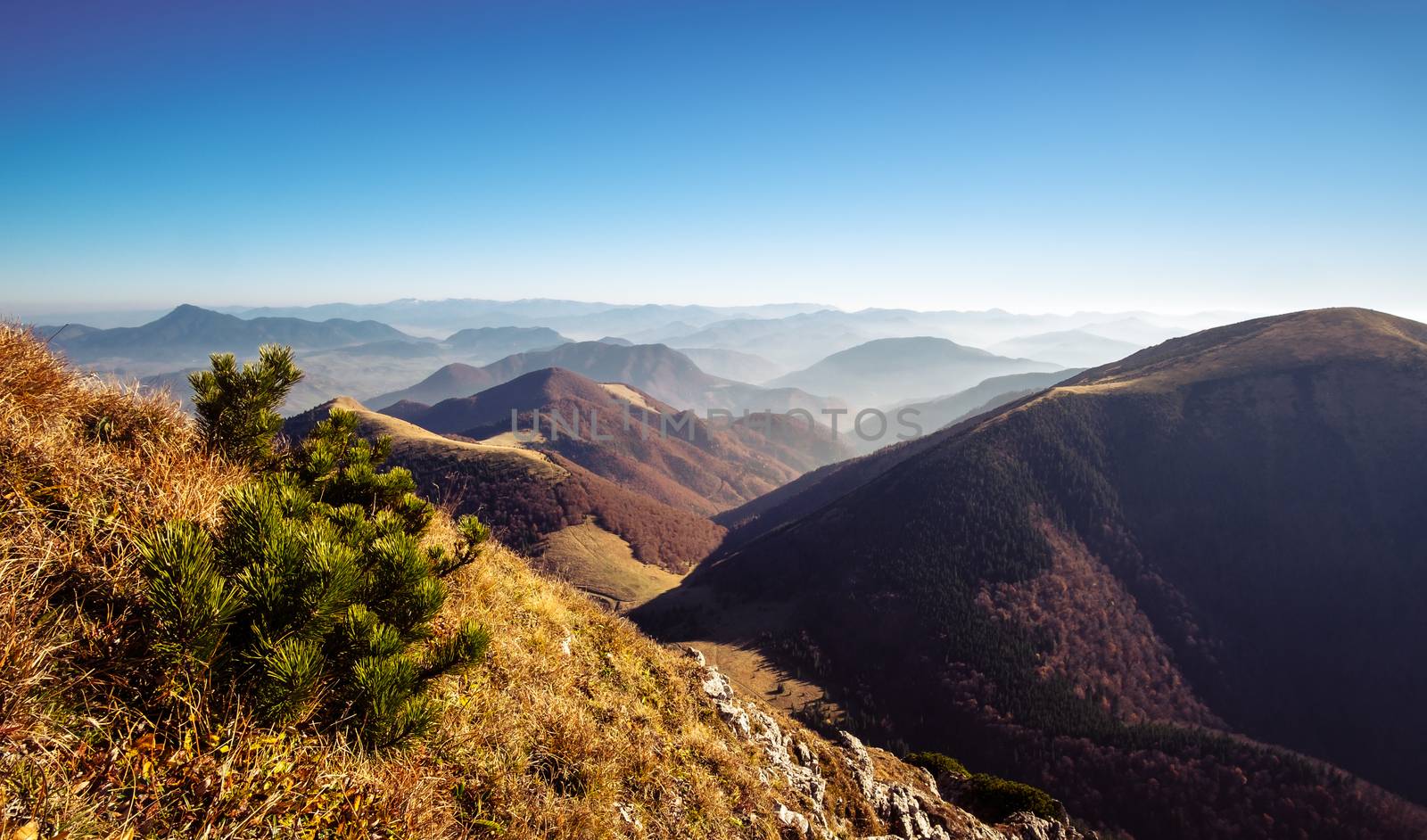 Scenic view of misty mountain hills in fall, Slovakia by martinm303