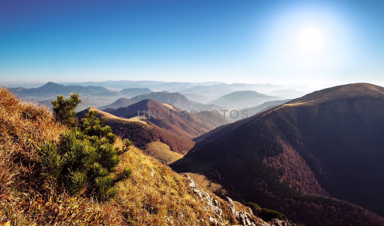 Scenic view of colorful misty mountain hills in fall, Mala Fatra, Slovakia