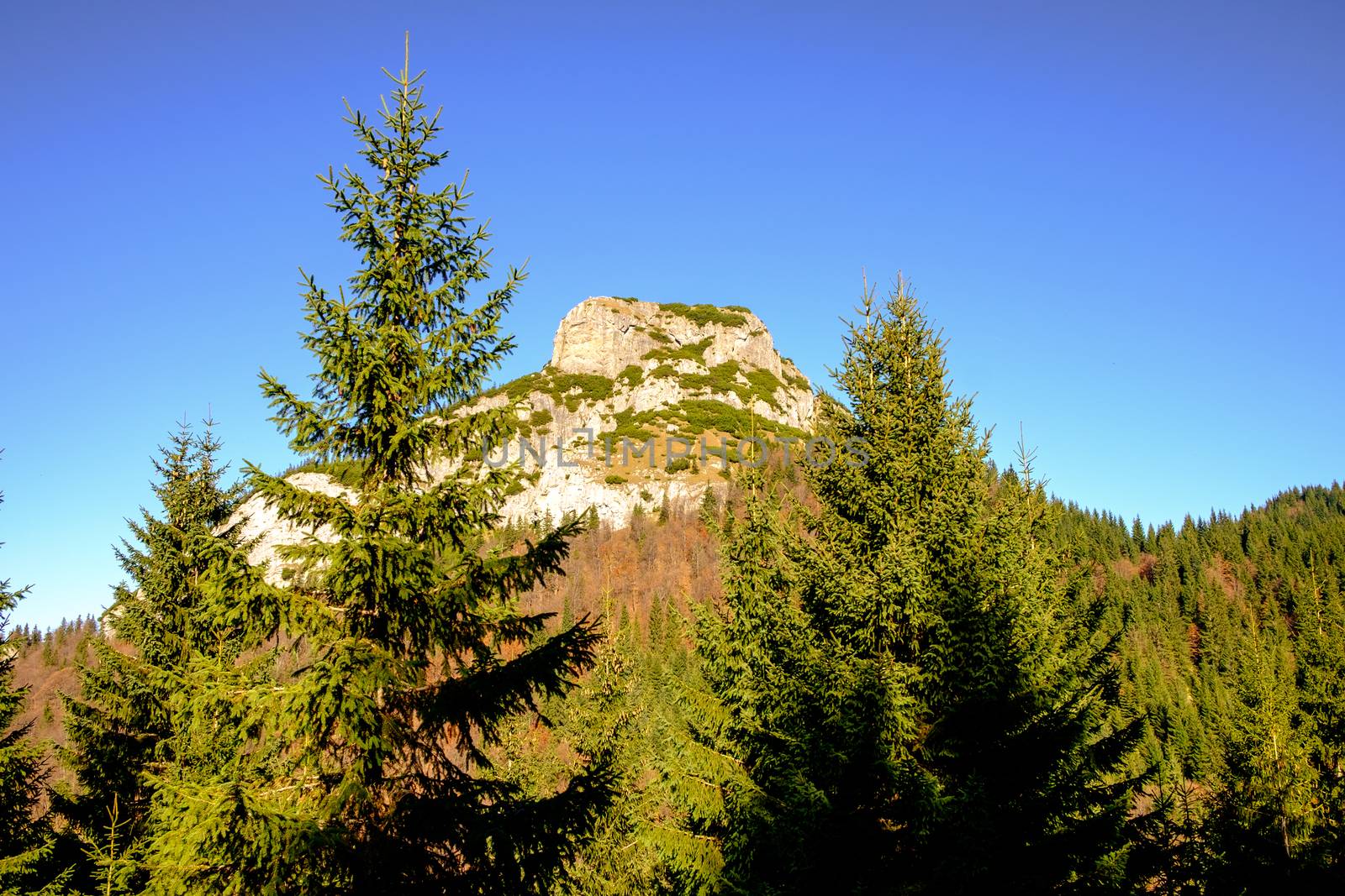 Rocky mountain peak with forest trees in foreground, Mala Fatra, Slovakia