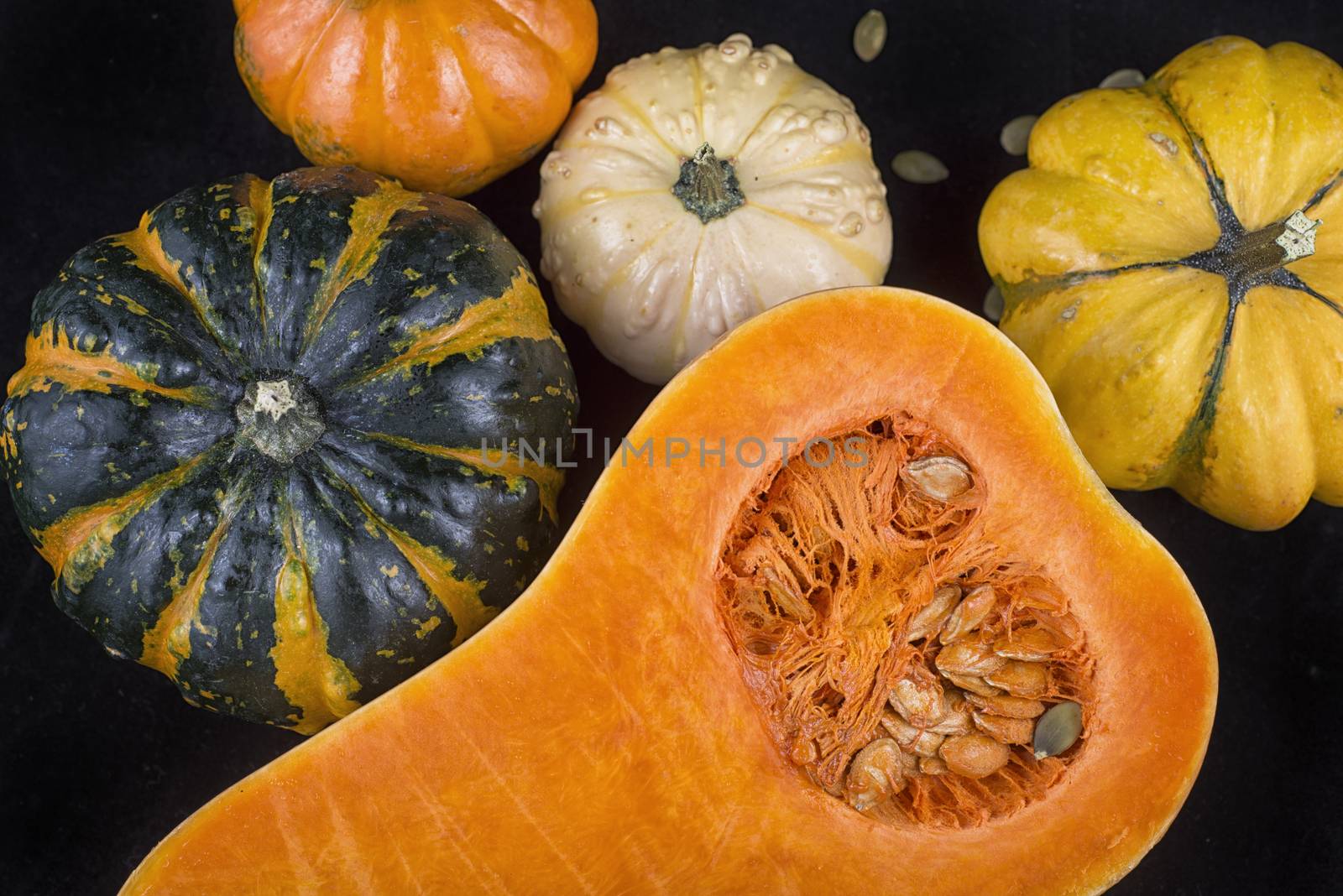 Colorful pumpkins and squash - Fall season colors concept background
