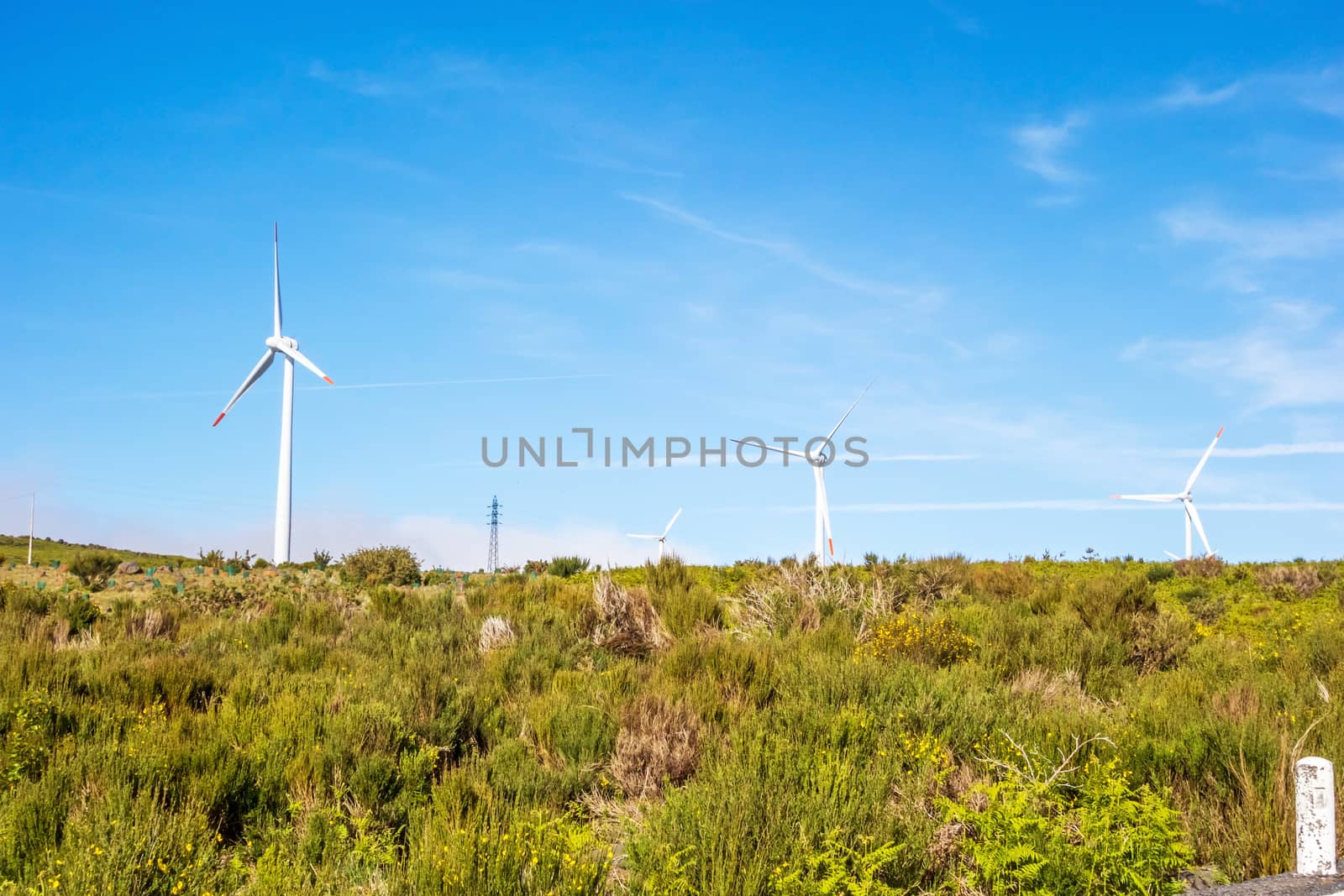 wind turbines behind hill top - green landscape