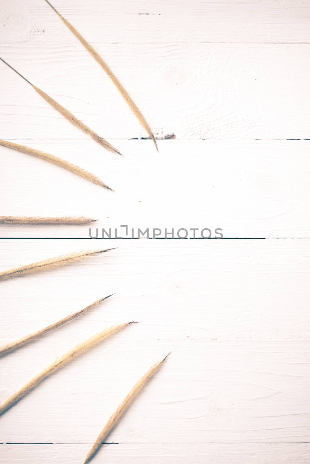 wheat on white table vintage style