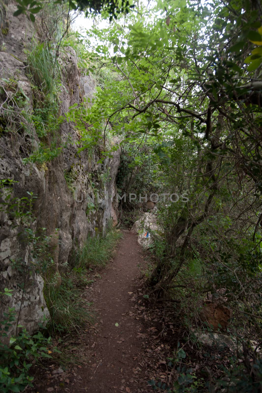 Hiking in Israeli nature landscape with good weather under cloudy sky