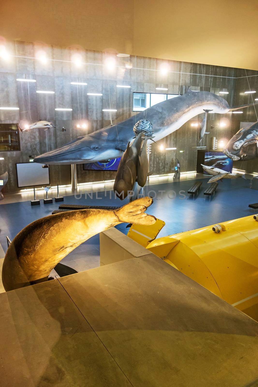 Canical, Portugal - June 5, 2013: Museu da Baleia (Whale Museum). It documents the history of whale hunting on Madeira.