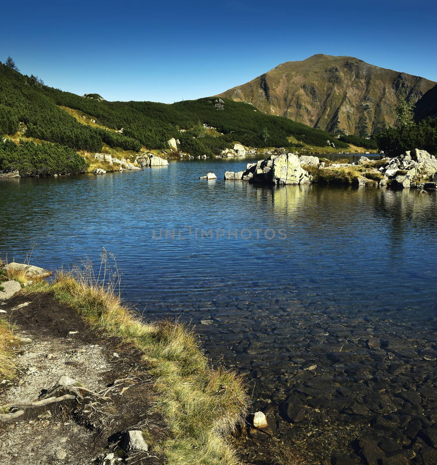 background landscape scene alpine mountain Lake