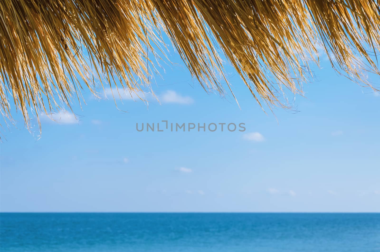 View On The Black Sea From The Shore