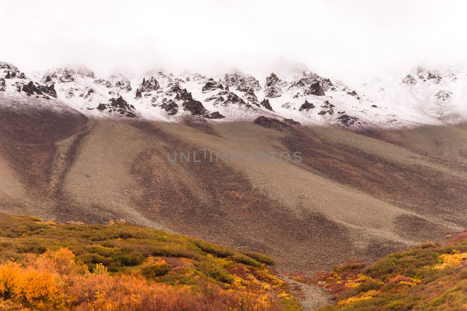 Autumn changes the ground covers color in Alaska winter