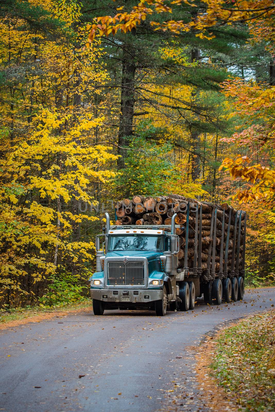 A logging truck hauling its load out of the woods.