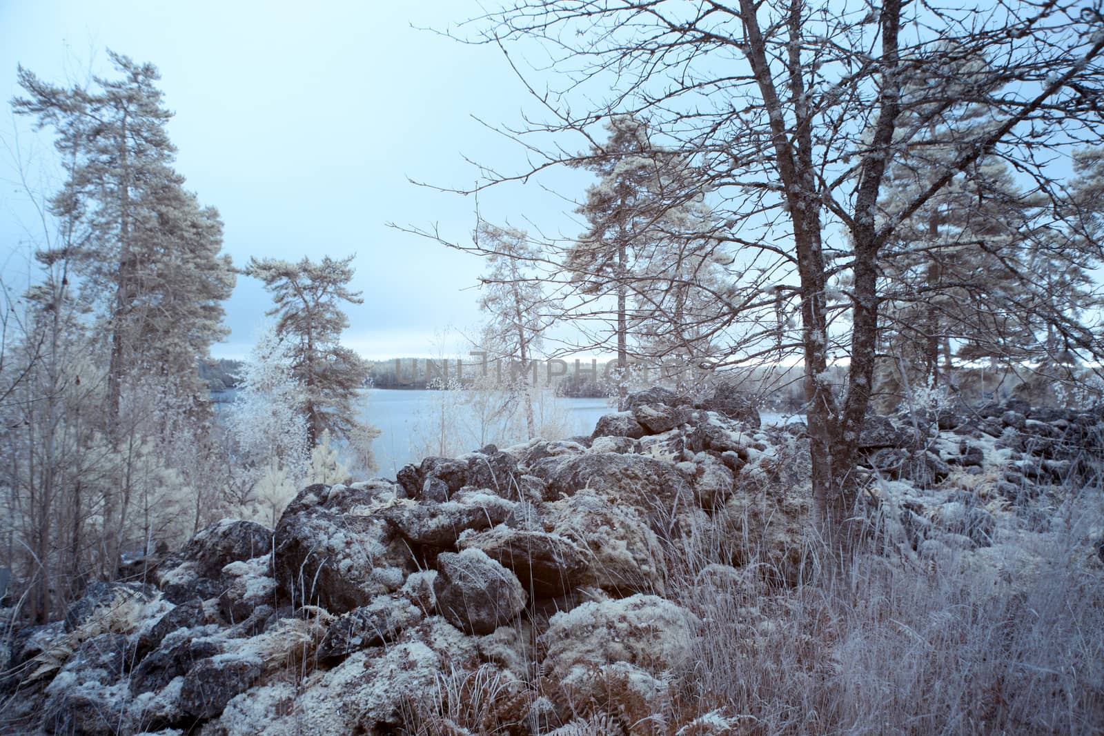 Stenhammar hill with part of the stone wall
