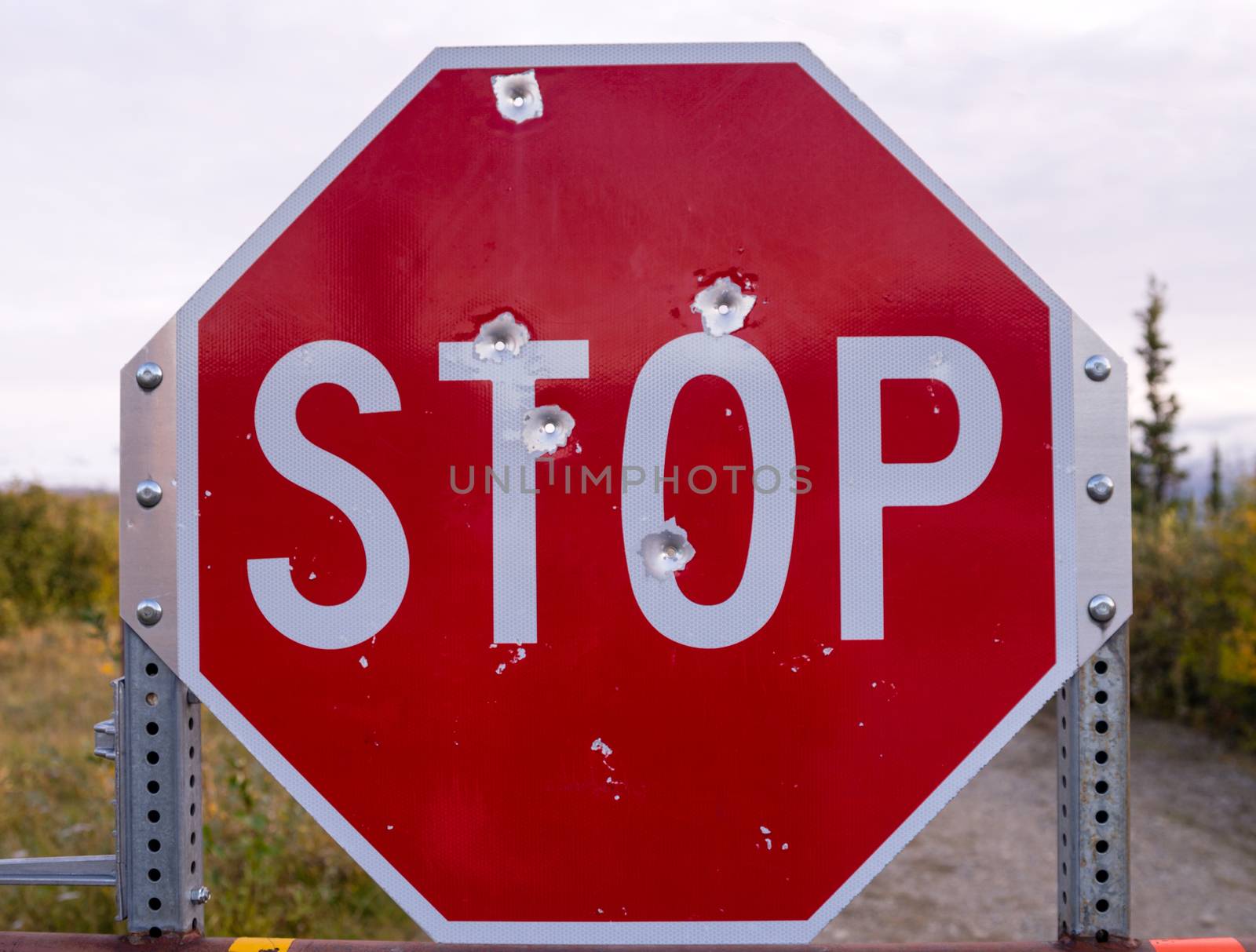 Stop Sign Riddled With Bullet Holes Country Vandalism by ChrisBoswell