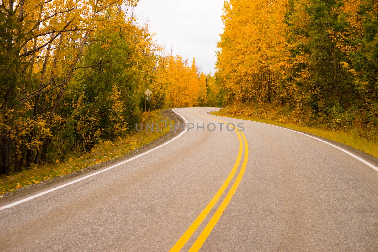 Double Yellow Lines Fall Highway Alaska Highway Transportation by ChrisBoswell