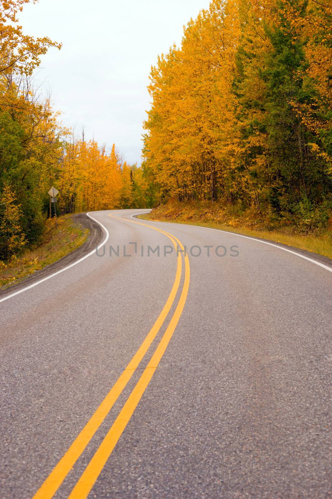 Double Yellow Lines Fall Highway Alaska Highway Transportation by ChrisBoswell